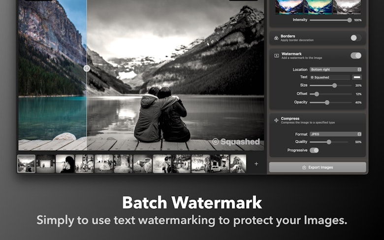 Simply to use text watermarking to protect your Images.