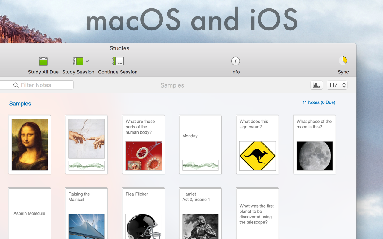 Creating Smart Study Notes in Studies App Screenshot