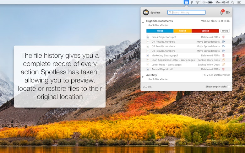 The file history gives you a complete record of every action Spotless has taken, allowing you to preview, locate or restore files to their original location