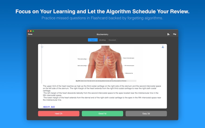 Focus on Your Learning and Let the Algorithm Schedule Your Review.