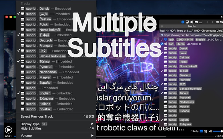 Multiple Subtitles