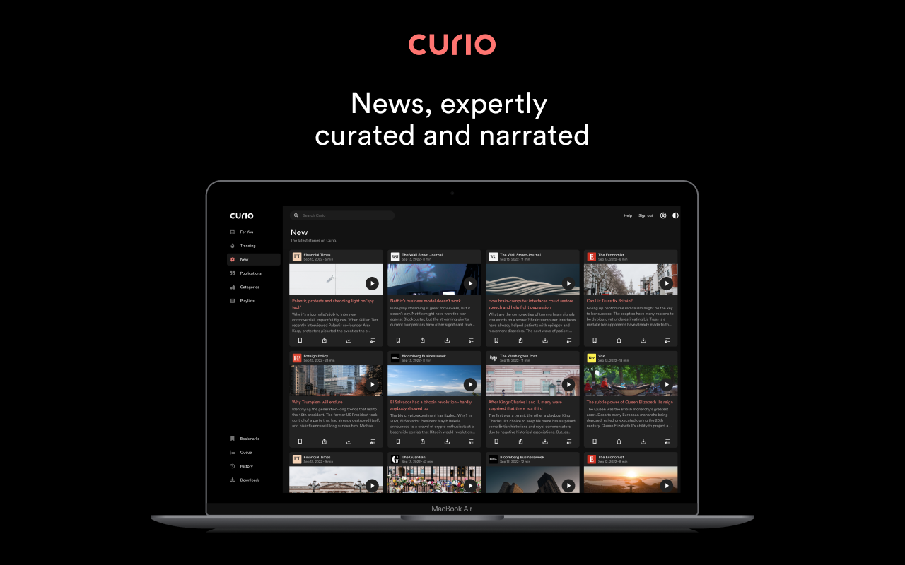 Curio Web Interface Screenshot