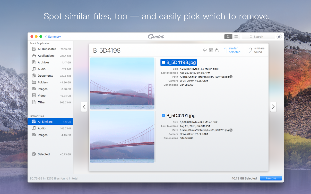 Gemini On Setapp Duplicate File Finder