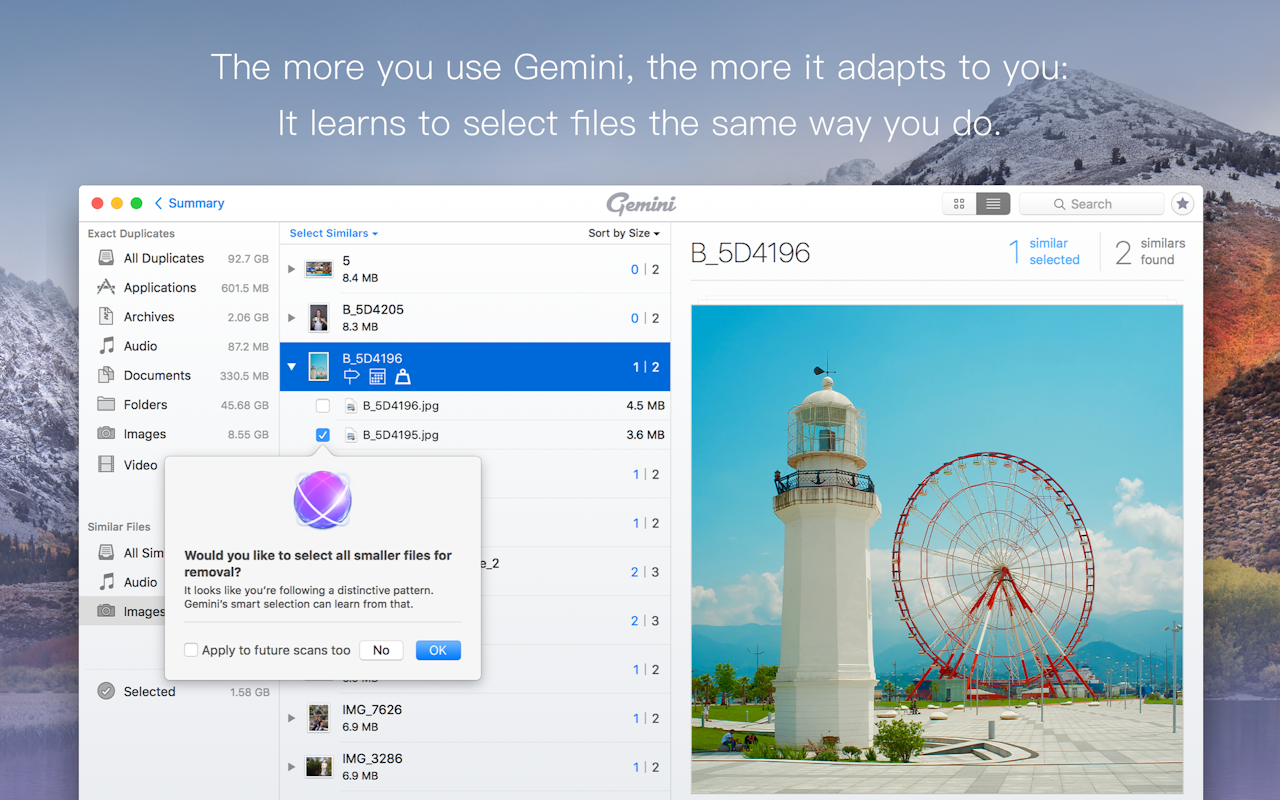 Gemini On Setapp Duplicate File Finder